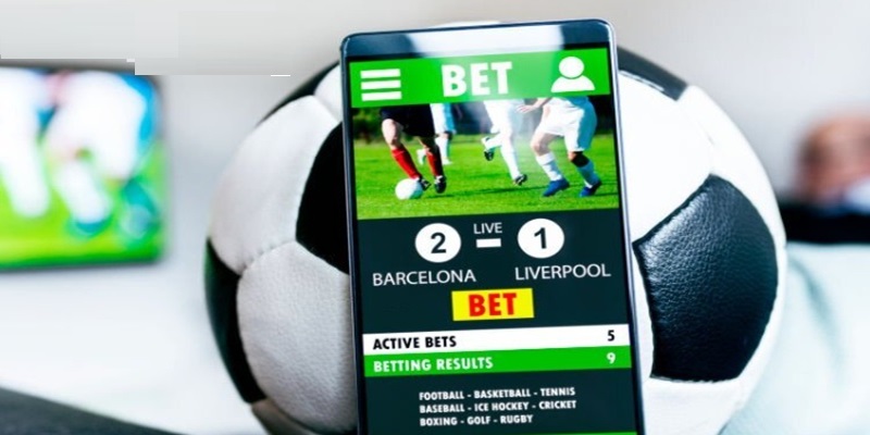 Sống bằng nghề cá độ đá trở thành xu hướng hiện đại 2025